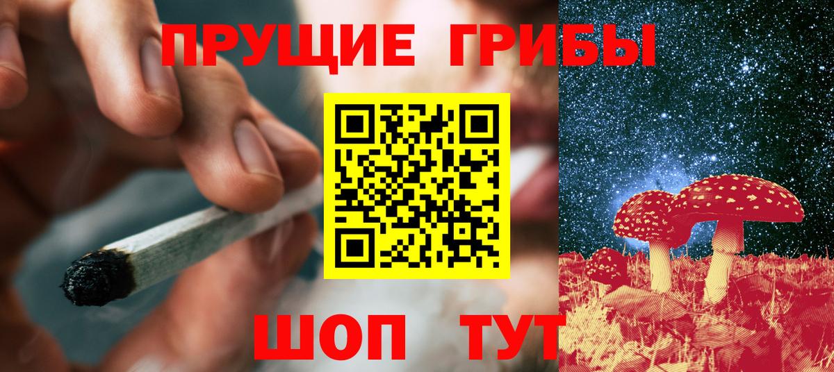 Псилоцибиновые грибы Psilocybe Благодарный
