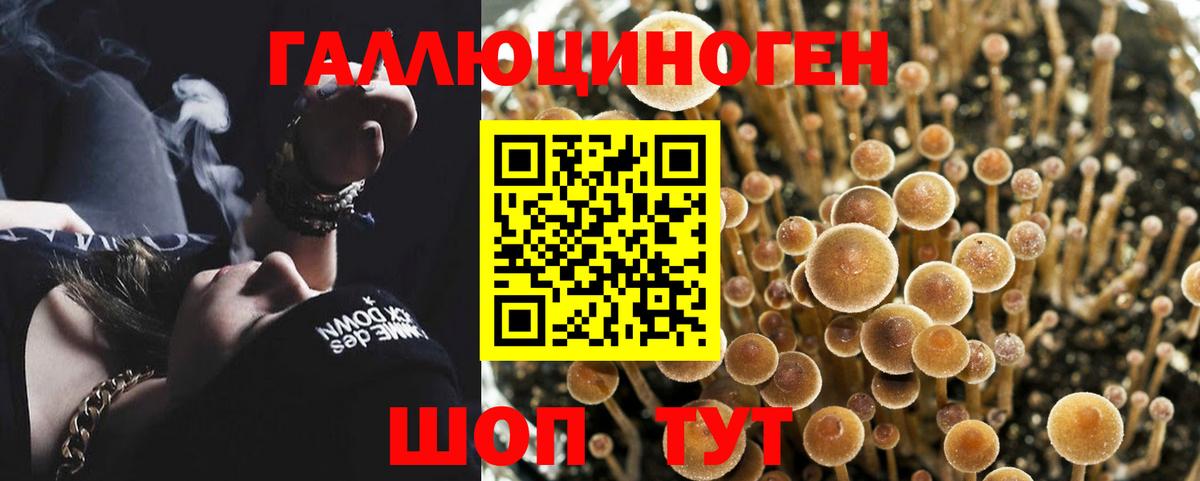 Галлюциногенные грибы мицелий  Вход с VPN  Благодарный 